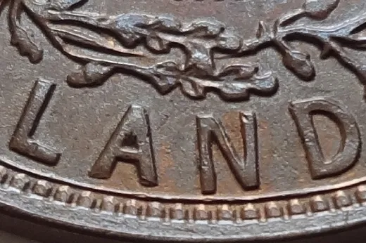 Letter Details in LAND