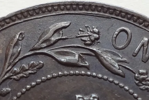 Detail of Overlap