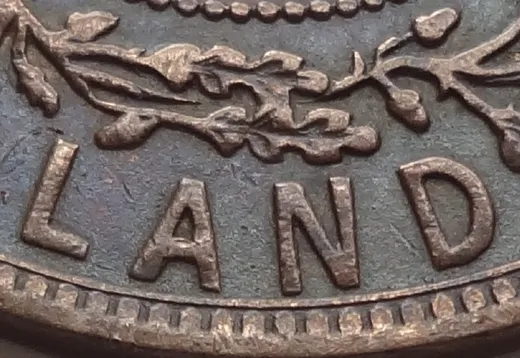 Letter Details in LAND