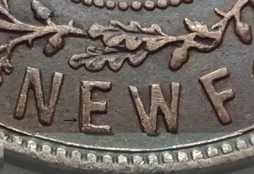Letter Details in NEWF