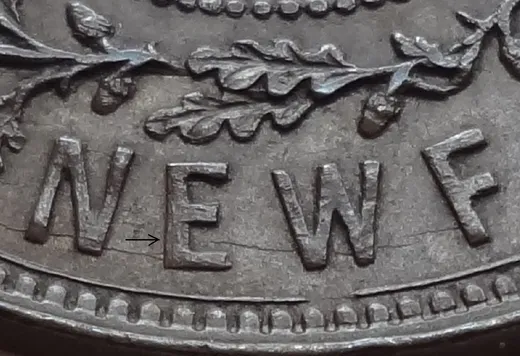 Letter Details in NEWF