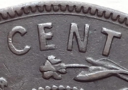 Letter Details in NEWF