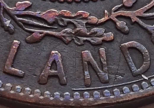 Letter Details in LAND