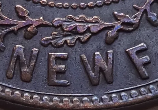 Letter Details in NEWF