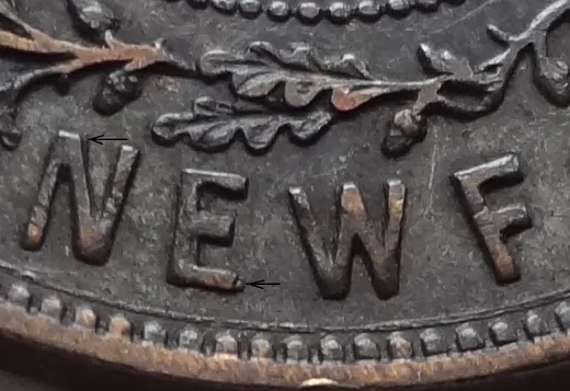 Letter Details in NEWF