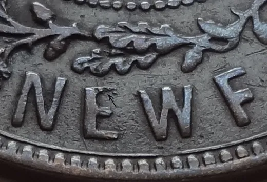 Letter Details in NEWF