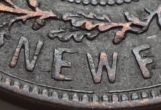 Letter Details in NEWF