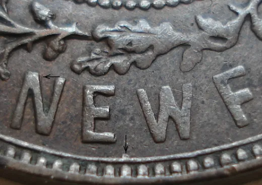 Wire Border Stub in NEWF