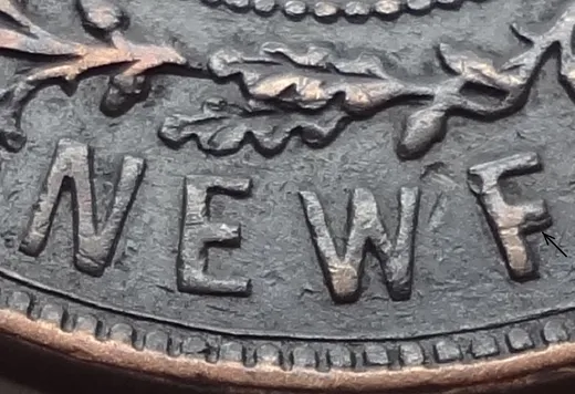 Letter Details in NEWF