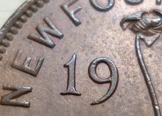 Date, close-up