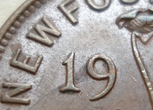 Date, close-up