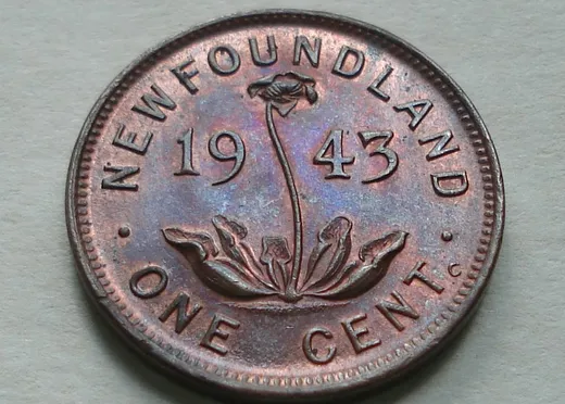 Reverse (alternate)
