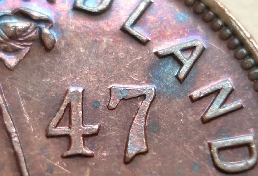Date, close-up