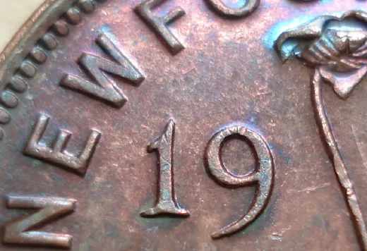 Date, close-up