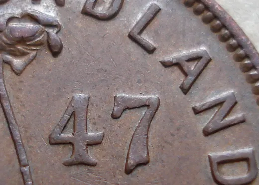 Date, close-up