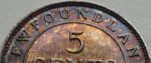 Lower Reverse Details